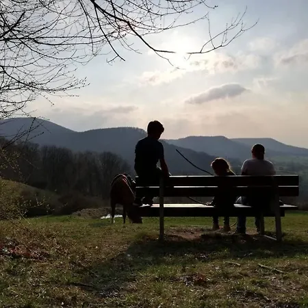 Exklusive M. Terrasse, Ruhig Gelegen * Пфуллинген